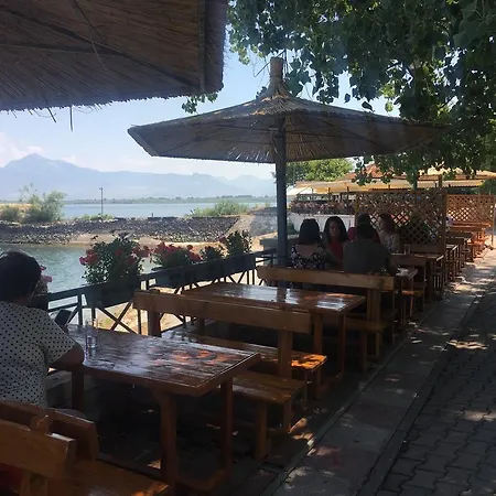 Modern Swimming-pool Shkodër